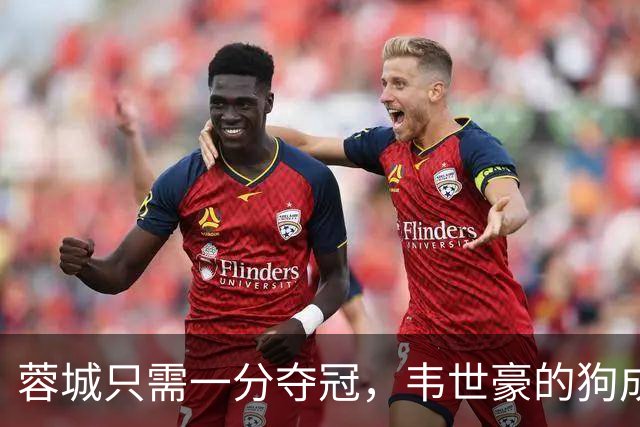 蓉城只需一分夺冠，韦世豪的狗成看台明星！